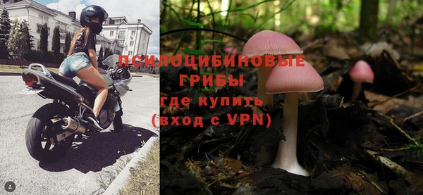 дживик Касимов