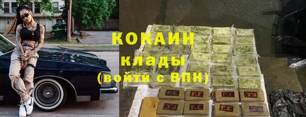 дживик Касимов