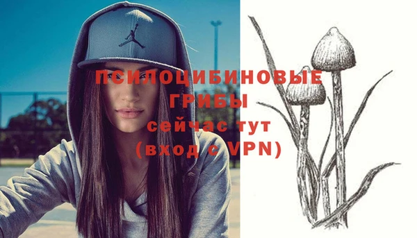 дживик Касимов