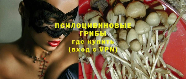 дживик Касимов