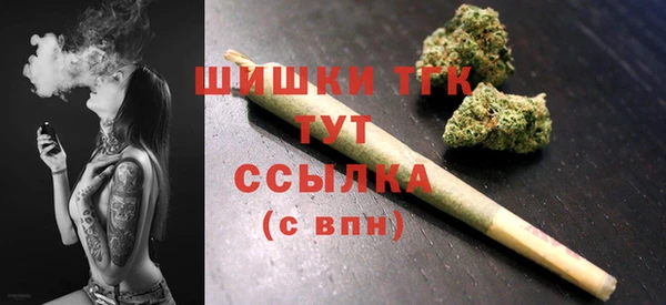дживик Касимов