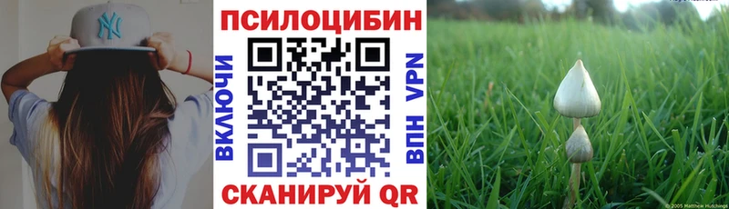 Галлюциногенные грибы мицелий  Купить закладки  Тавда 
